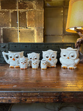 Load image into Gallery viewer, Ceramic Owl Canister Set (7)
