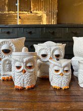 Load image into Gallery viewer, Ceramic Owl Canister Set (7)