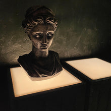 Load image into Gallery viewer, Lit Pedestals, Two (2) Available