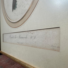 Load image into Gallery viewer, Late 18th Century Framed Bird Engraving Set (3)