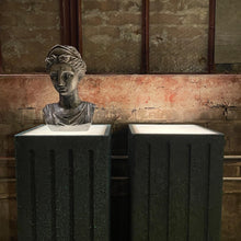 Load image into Gallery viewer, Lit Pedestals, Two (2) Available