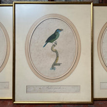 Load image into Gallery viewer, Late 18th Century Framed Bird Engraving Set (3)