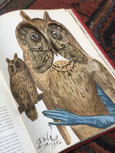 Load image into Gallery viewer, Collector’s Flair Annual - 1953