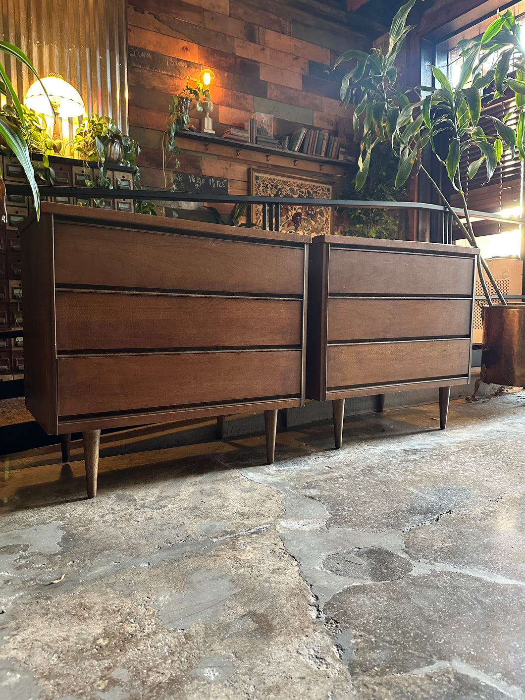 Mid-Century Bassett Midboy (RIGHT)