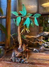 Load image into Gallery viewer, Ceramic and Driftwood Palm Tree
