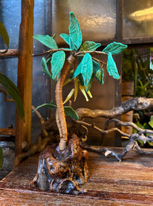 Ceramic and Driftwood Palm Tree