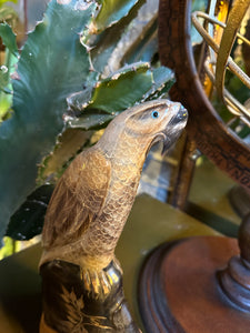 Carved Horn Parrot
