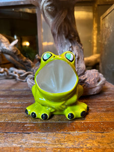 Ceramic Sponge Frog