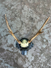 Load image into Gallery viewer, Faux Antlers
