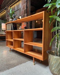 Rustic Mid-Century Bookshelf / Display