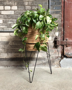 Hairpin Plant Stand