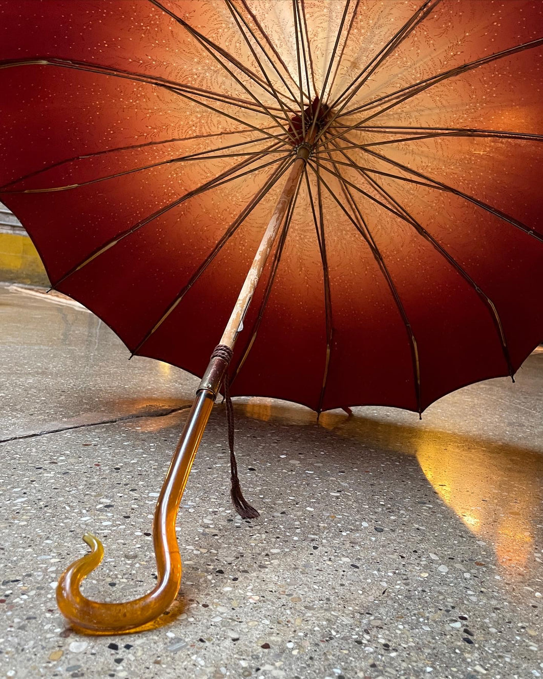 Blossoming Umbrella w/ Gator Sleeve
