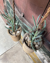 Load image into Gallery viewer, Pulley Planter w/ Succulents

