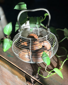Wire Basket w/ Wooden Fruit