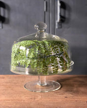 Load image into Gallery viewer, Glass Cake Stand w/ Dome
