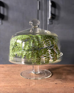 Glass Cake Stand w/ Dome