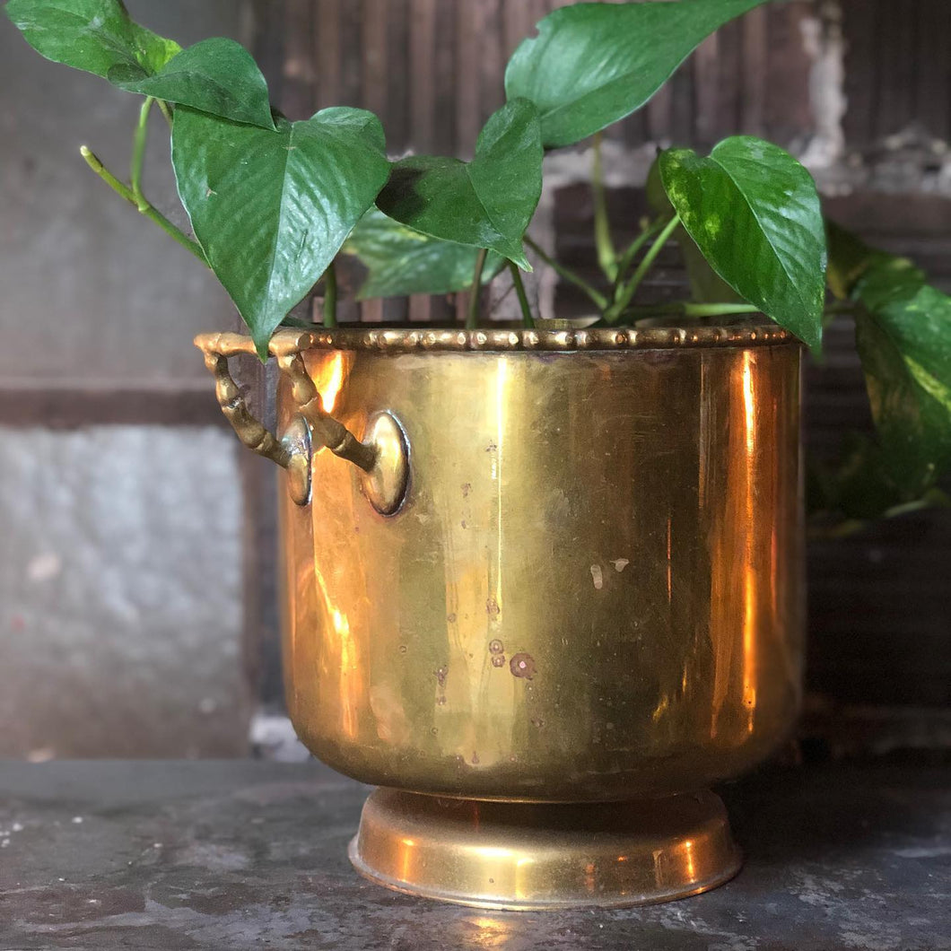 Brass Bucket w/ Faux-Bamboo Flourishes