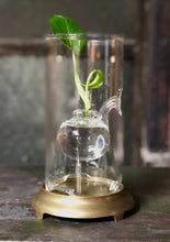 Load image into Gallery viewer, Glass Oil Lamp / Bud Vase
