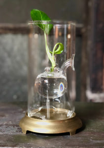 Glass Oil Lamp / Bud Vase