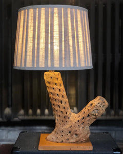 Dried Cholla Cactus Table Lamp