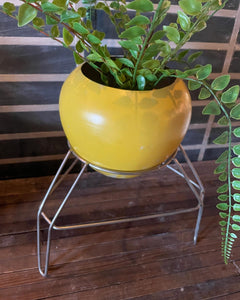 Plant Stand w/ Yellow Pot