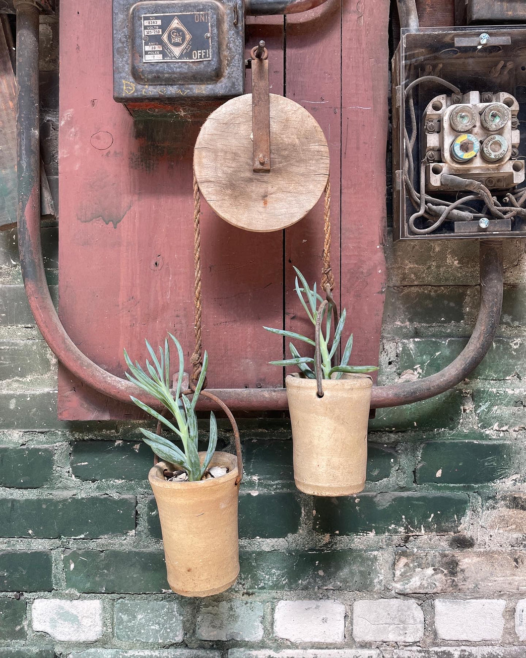 Pulley Planter w/ Succulents