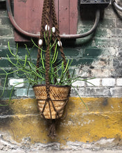 Load image into Gallery viewer, Hanging Macrame Hanging Planter w/ Basket and Pencil Cactus
