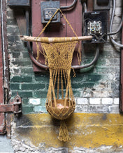 Load image into Gallery viewer, Hanging Macrame Planter
