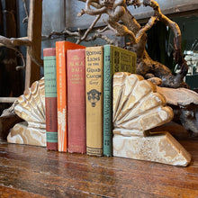 Load image into Gallery viewer, Agate Seashell Bookend Set (2)
