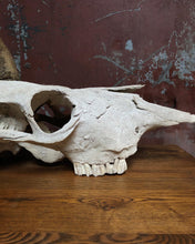 Load image into Gallery viewer, Choose Yer Own Animal Adventure Skull
