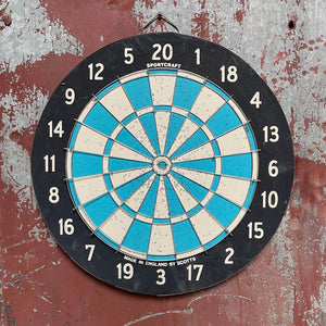 Blue and White Double-Sided Dartboard