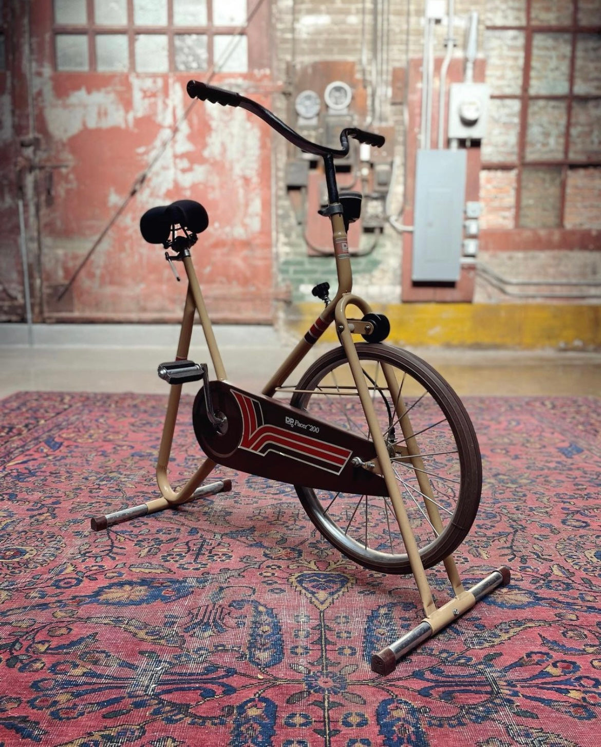 Dp cheap exercise bike