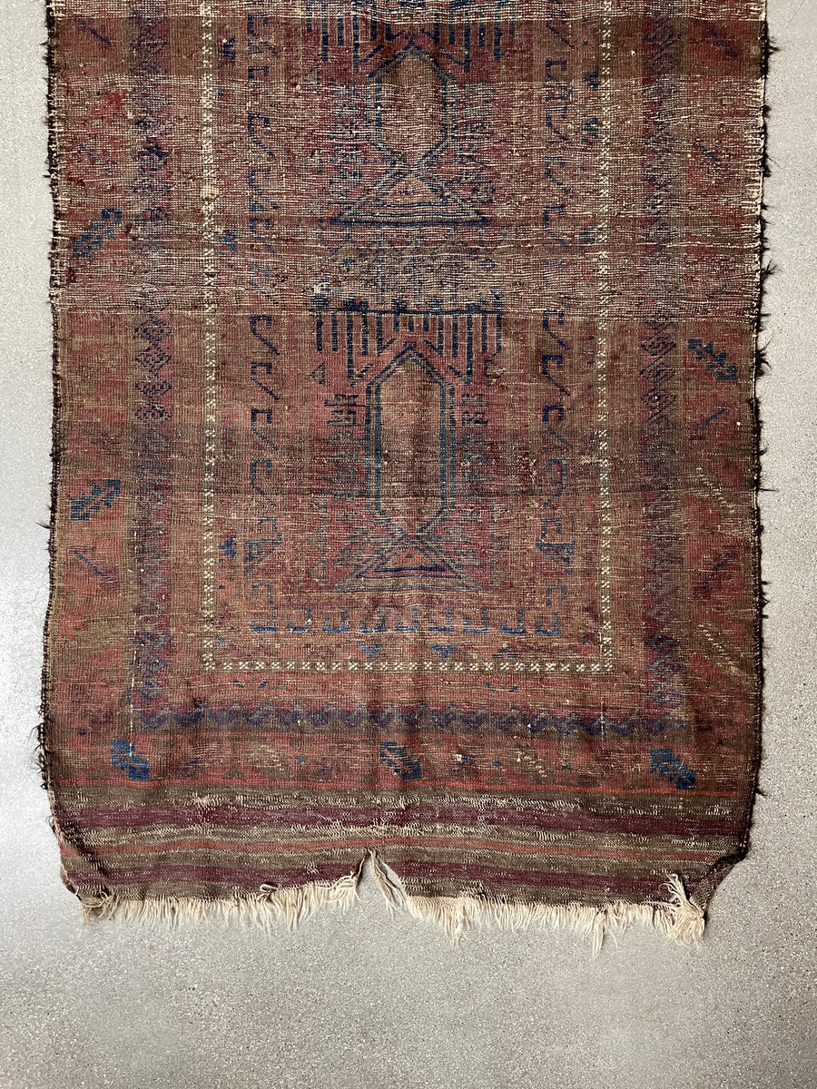 Aged Area Rug – Dandy