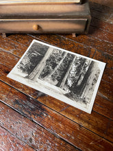 Load image into Gallery viewer, Tiny Keepsake Drawer with Antique Postcard
