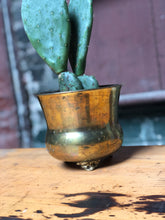 Load image into Gallery viewer, Brass Cactus
