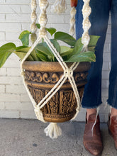 Load image into Gallery viewer, Two-Tier Hanging Macrame Planter w/ Plants

