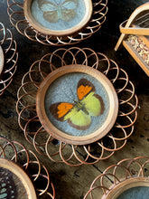 Load image into Gallery viewer, Butterfly Coaster Set (6)
