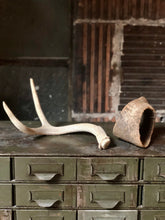 Load image into Gallery viewer, Bone Decor Set (2)
