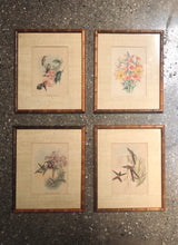 Load image into Gallery viewer, Flora &amp; Fauna Print Set (4)
