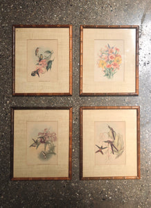 Flora & Fauna Print Set (4)