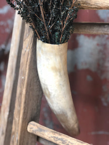 Hanging Horn