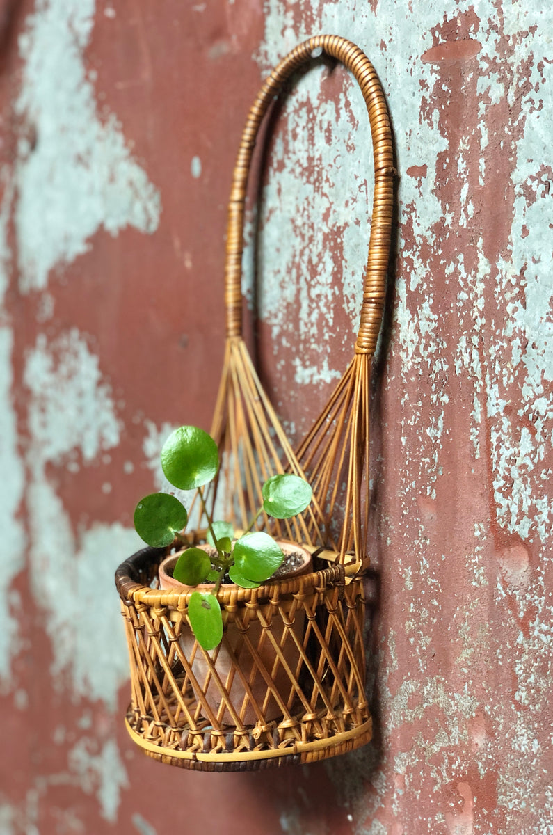 Wicker Loop Planter – Dandy