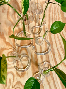 Blown Glass Vase Set (7)