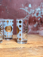 Load image into Gallery viewer, Fred Press Highball Glass Set (5)
