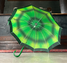 Load image into Gallery viewer, Green Umbrella
